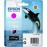 ORIGINAL EPSON T7603 Magenta - Orque - 25.9ml - 1.400 pages